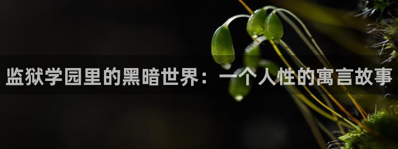 51漫画免费动漫在线观看：监狱学园里的黑暗世界：一个人性的寓言故事